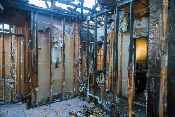 Professional Odor Removal technician working in Matteson, IL